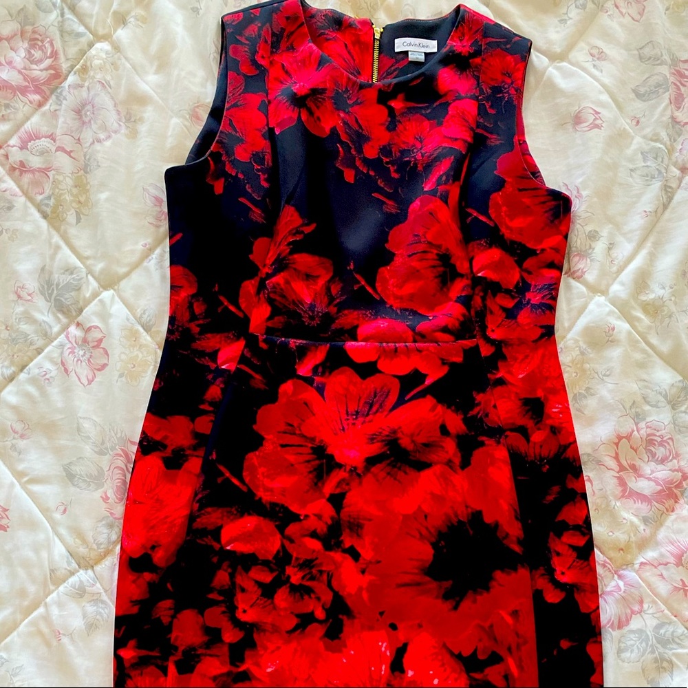 Red & Black Calvin Klein Dress